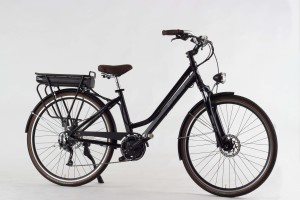 E-bike_donna